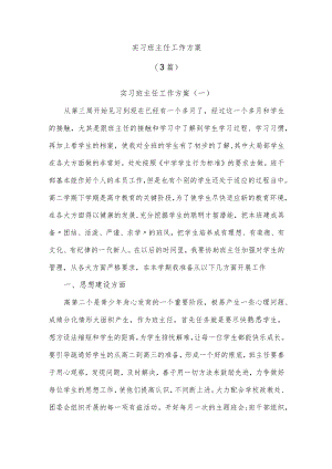 实习班主任工作计划(3篇).docx