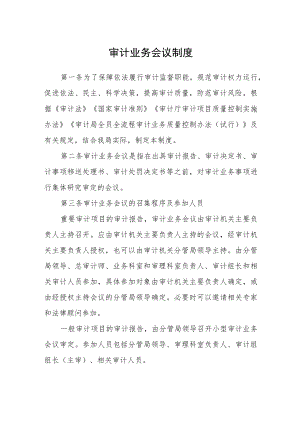 审计业务会议制度.docx