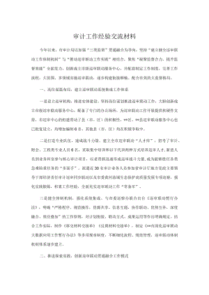 审计工作经验交流材料.docx