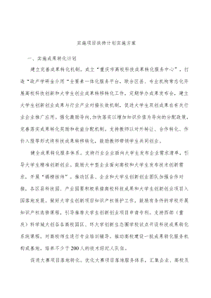 实施项目扶持计划实施方案.docx