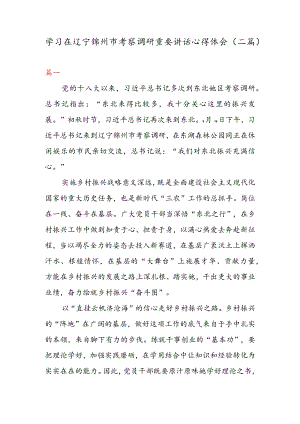 学习在辽宁锦州市考察调研重要讲话心得体会（二篇）.docx