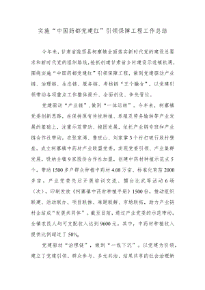 实施“中国药都党建红”引领保障工程工作总结.docx