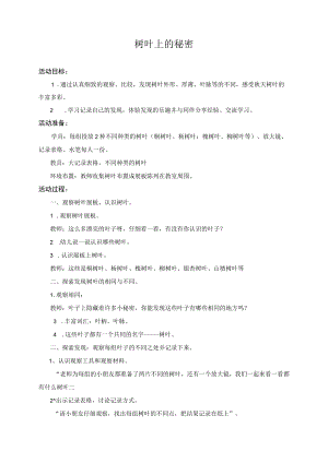大班科学观察 树叶上的秘密.docx