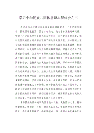 学习中华民族共同体意识心得体会之三.docx