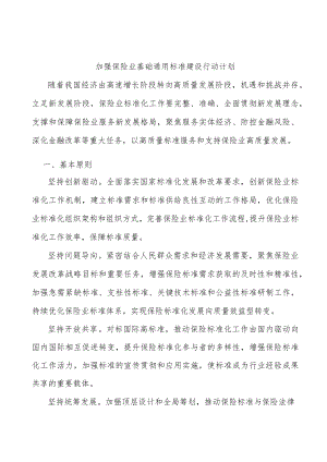 加强保险业基础通用标准建设行动计划.docx