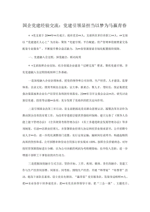 国企党建经验交流：党建引领显担当 以梦为马赢青春.docx
