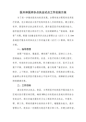 医共体医师多点执业试点工作实施方案.docx