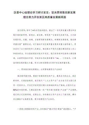 区委中心组理论学习研讨发言：坚决贯彻落实新发展理念努力开创某区高质量发展新局面.docx