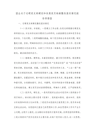 国企关于过硬党支部建设和发展党员档案整改落实情况报告供借鉴.docx