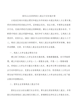 国有企业安排残疾人就业行动实施方案.docx