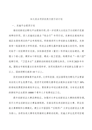 加大创业项目扶持力度行动计划(1).docx