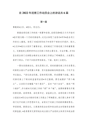 在2022巡察工作动员会上的讲话共6篇.docx