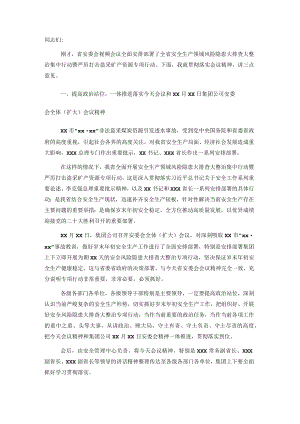 国企总经理在贯彻落实省安委会安全生产领域风险隐患大排查大整治集中行动部署视频会上的讲话.docx