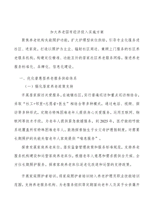 加大养老国有经济投入实施方案.docx