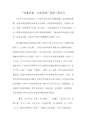“清廉是福、贪欲是祸”感悟心得体会.docx