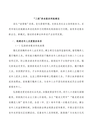 “三级”养老服务网络建设.docx