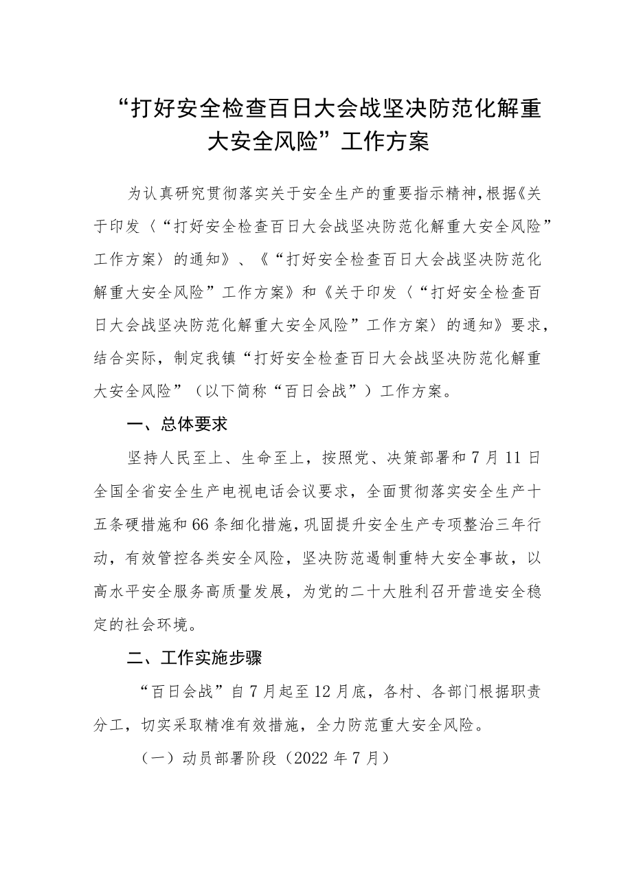 “打好安全检查百日大会战 坚决防范化解重大安全风险”工作方案.docx_第1页