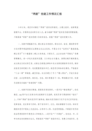 “两新”党建工作情况汇报.docx