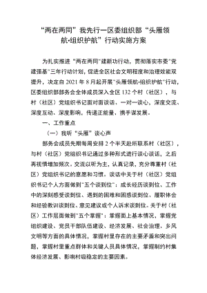 “两在两同”我先行—区委组织部“头雁领航·组织护航”行动实施方案.docx