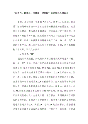 “树正气、转作风、优环境、促发展”活动学习心得体会.docx