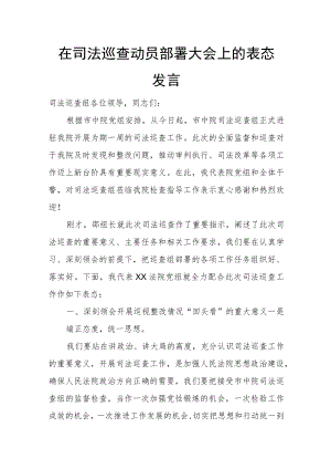 在司法巡查动员部署大会上的表态发言.docx