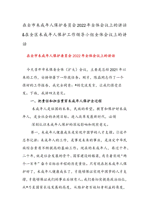 在全市未成人保护委员会2022全体会议上的讲话 & 在全区未成人保护工作领导小组全体会议上的讲话.docx