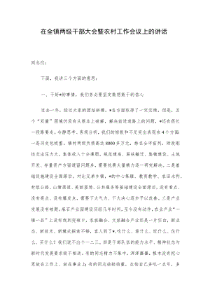 在全镇两级干部大会暨农村工作会议上的讲话.docx