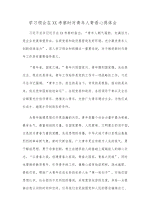学习领会在XX考察时对青人寄语心得体会.docx
