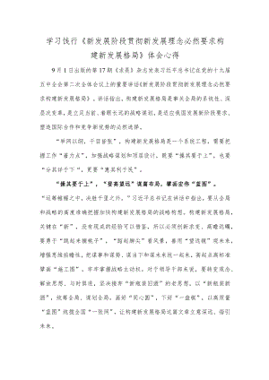 学习饯行《新发展阶段贯彻新发展理念必然要求构建新发展格局》体会心得.docx