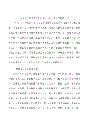 加快建设职业化专业化社会工作人才队伍行动计划.docx