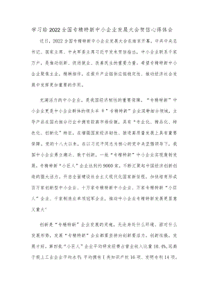 学习给2022全国专精特新中小企业发展大会贺信心得体会.docx