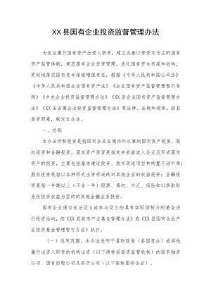XX县国有企业投资监督管理办法.docx