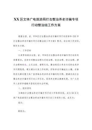 XX区文体广电旅游局打击整治养老诈骗专项行动整治组工作方案.docx