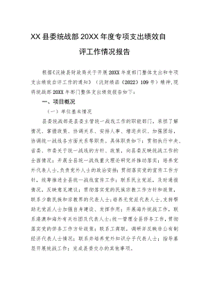 XX县委统战部20XX年度专项支出绩效自评工作情况报告（20220630）.docx