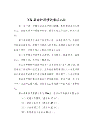 XX县审计局绩效考核办法.docx