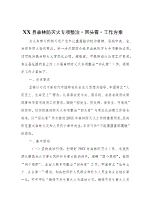 XX县森林防灭火专项整治“回头看”工作方案.docx