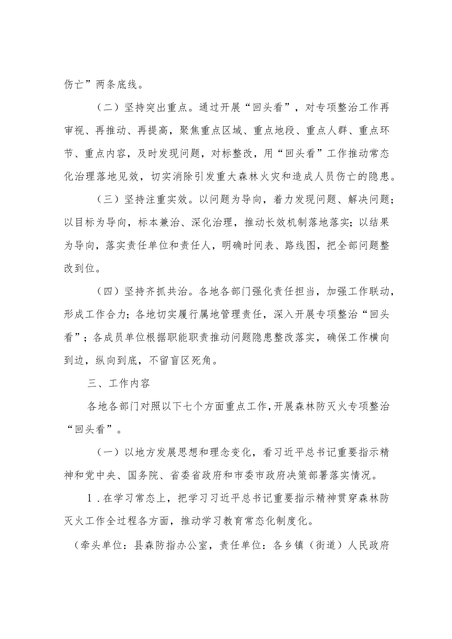 XX县森林防灭火专项整治“回头看”工作方案.docx_第2页