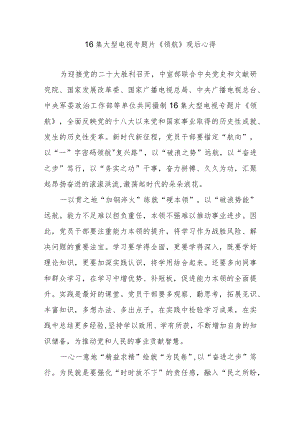 16集大型电视专题片《领航》观后心得3篇.docx