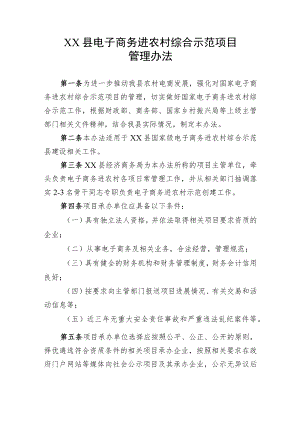 XX县电子商务进农村综合示范项目管理办法.docx
