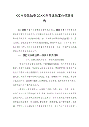 XX市委政法委20XX年度述法工作情况报告（20220513）.docx