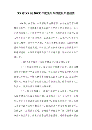 XX市XX局2021年度法治政府建设年度报告.docx