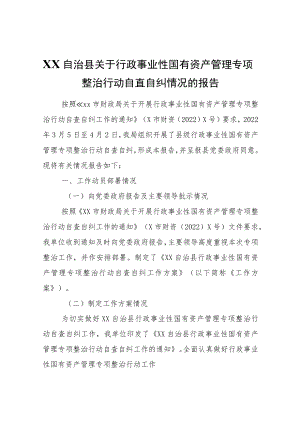 XX自治县关于行政事业性国有资产管理专项整治行动自查自纠情况的报告.docx