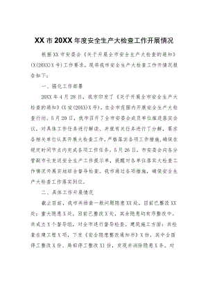 XX市2022年度安全生产大检查工作开展情况.docx
