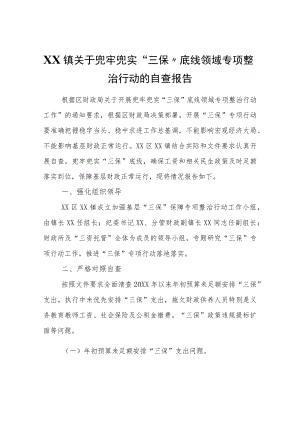 XX镇关于兜牢兜实“三保”底线领域专项整治行动的自查报告.docx