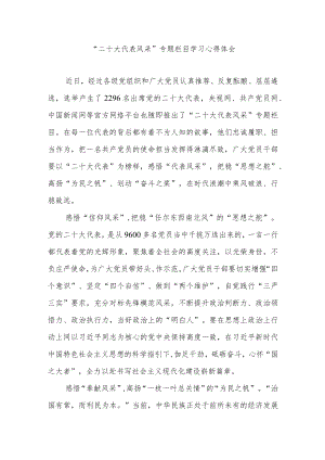 “二十大代表风采”专题栏目学习心得体会3篇.docx