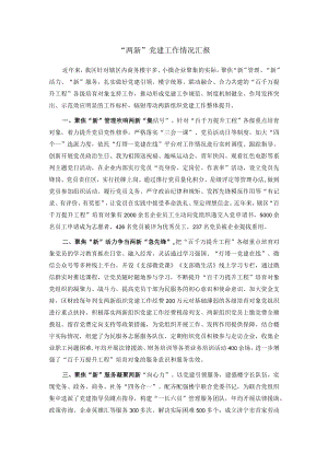 “两新”党建工作情况汇报.docx