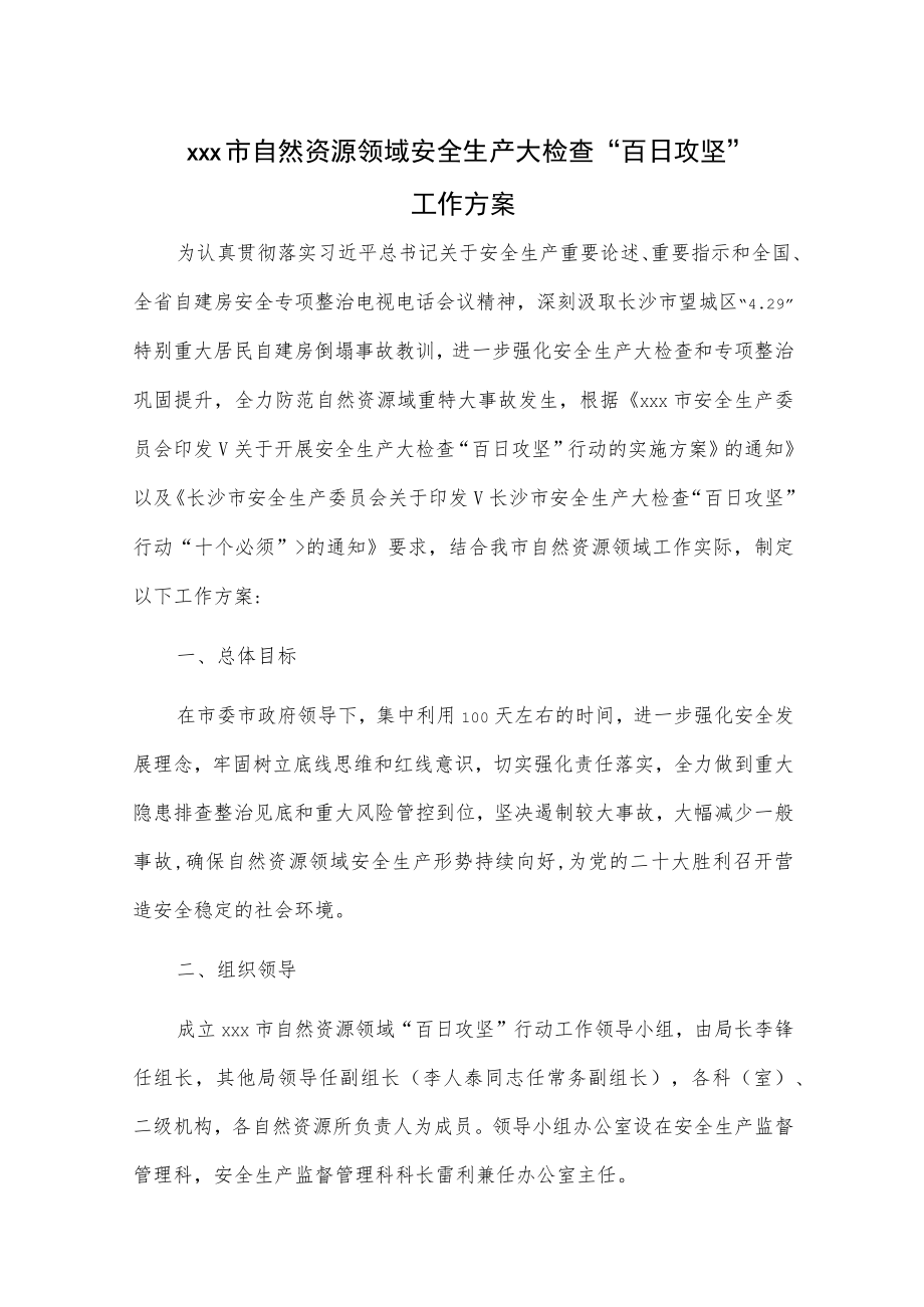 xxx市自然资源领域安全生产大检查“百日攻坚”工作方案.docx_第1页