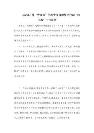 xxx镇开展“大棚房”问题专项清理整治行动“回头看”工作总结.docx