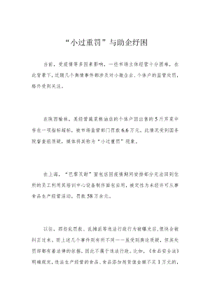 “小过重罚”与助企纾困.docx