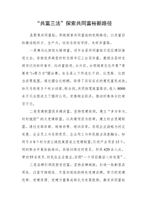 “共富三法” 探索共同富裕新路径.docx